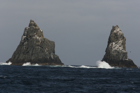 The Friars at the mouth of Storm Bay